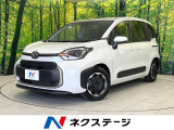 両側電動ドア 純正10型ナビ 全周囲カメラ 衝突被害軽減システム