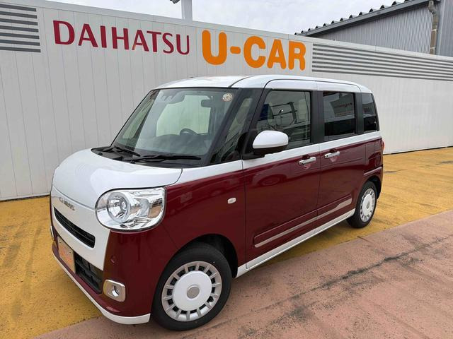 ムーヴキャンバス  ストライプス G