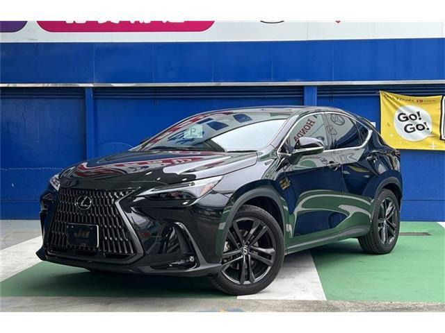 NX 250 バージョンL