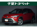 【メイン】 千葉・茨城・埼玉・東京・神奈川での登録、及びご来店いただける方への販売に限らせていただきます。