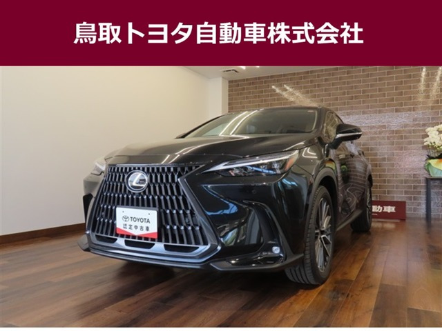 NX 250 バージョンL NX 250 バージョンL