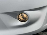 【フォグランプ】豪雨や霧が発生した時に視界を確保したり、対向車に自分の存在をアピールする役割もあります。