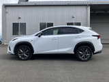NX 300h Fスポーツ 