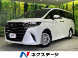 両側電動スライド 純正9.8型ディスプレイ 後席モニター 全周囲カメラ