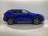 NX 300 Fスポーツ 