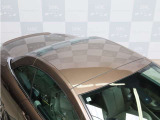 308CC グリフ 