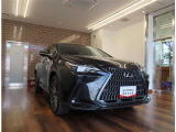 NX 250 バージョンL NX 250 バージョンL