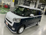 ムーヴキャンバス  ストライプス G