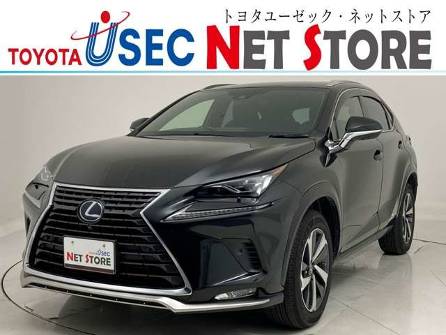 NX 300h スパイス&シック