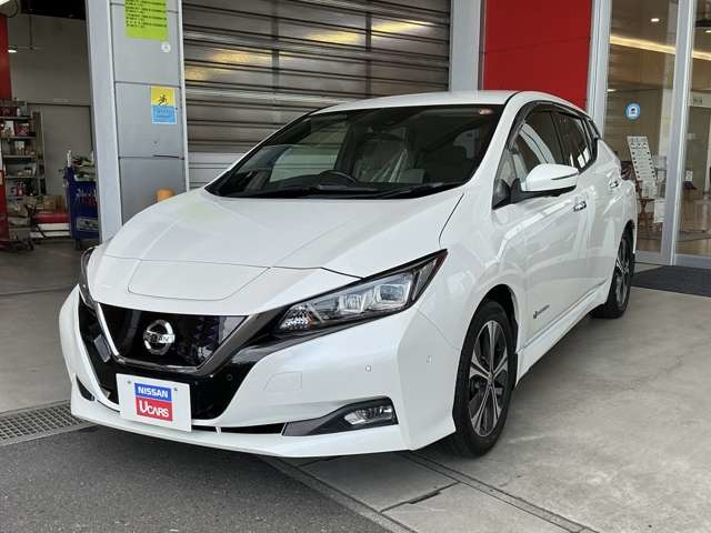リーフ G 