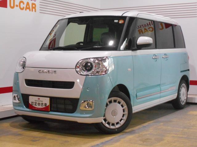 ムーヴキャンバス  ストライプス G