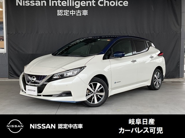 リーフ e+ X 