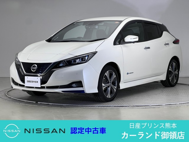 リーフ  X Vセレクション