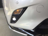 フォグランプ装着車。