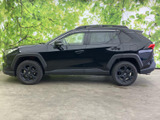 RAV4 2.0 アドベンチャー オフロードパッケージ II 4WD 