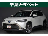 【メイン】 千葉・茨城・埼玉・東京・神奈川での登録、及びご来店いただける方への販売に限らせていただきます。