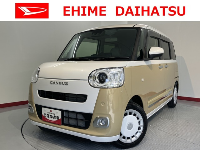 ムーヴキャンバス  ストライプス G