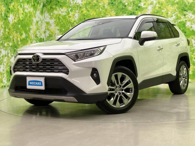 RAV4 2.0 G Zパッケージ 4WD