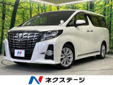 両側電動ドア BIGX10型ナビ バックカメラ 後席モニター 寒冷地仕様