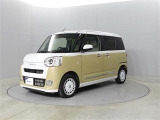 ムーヴキャンバス  ストライプス G