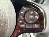 ステアリングの右側にはクルーズコントロールのスイッチが装備されています。高速道路などで一定の速度で巡行できるので、ロングドライブの時に重宝します。
