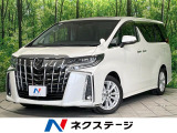 両側電動ドア 後席モニター バックカメラ 衝突軽減 レーダークルーズ