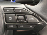 前方の車との車間を設定し、スピードを上げたり緩めたりを自動で行ってくれる追尾式の「レーダークルーズ」。上級装備の一つです!高級車にしかつかない嬉しい機能です。