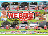 ステラ L 