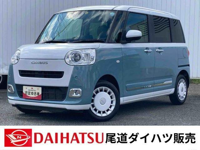 ムーヴキャンバス  ストライプス G