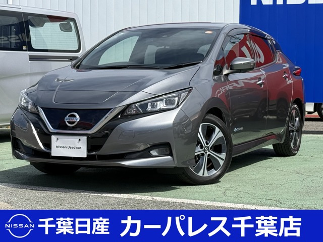 リーフ G 