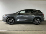NX  