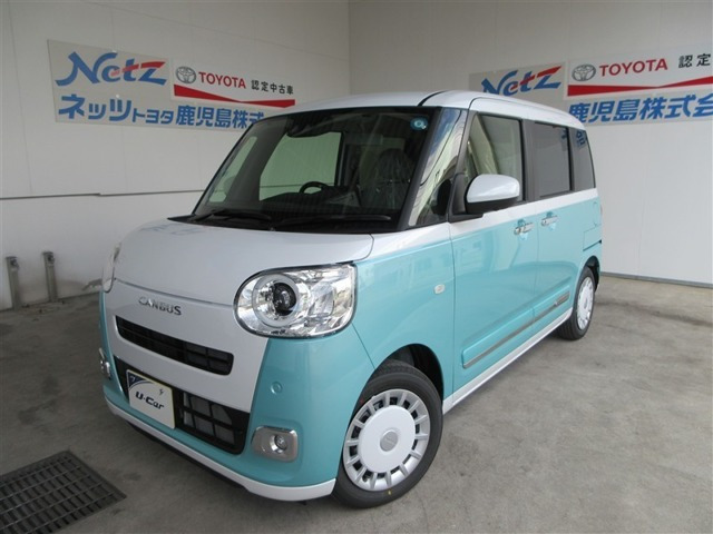 ムーヴキャンバス  ストライプス G