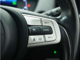 ◆アダプティブクルーズコントロール◆予め設定した車速内でクルマが自動的に加減速。前走車との適切な車間距離を維持しながら追従走行します。【LKAS】車線維持支援システムでステアリング操作を支援。
