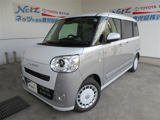 ムーヴキャンバス  ストライプス G