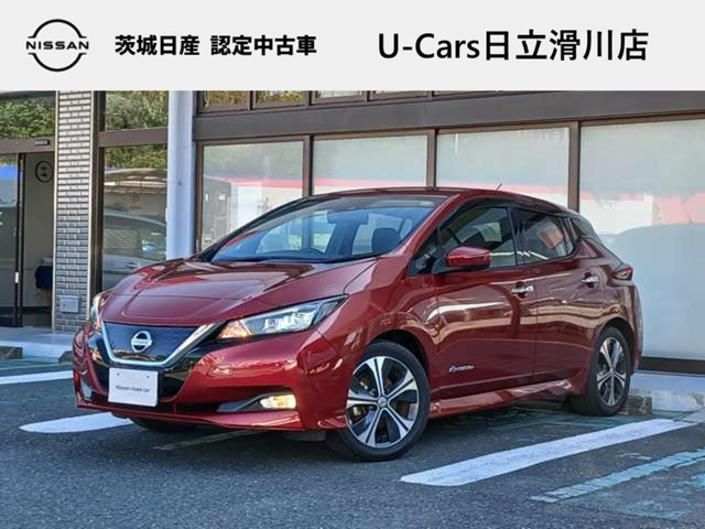 リーフ G