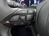 ステアリングスイッチ付き。前方から目を離すことなく操作することが可能です。