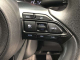 高速道路での長距離走行が楽になります。自動で速度を保つクルーズコントロールが、衝突軽減システムと連動し、前方の車両を検知して車間距離を保つように速度調整をしてくれます。
