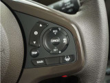 ◆アダプティブクルーズコントロール◆予め設定した車速内でクルマが自動的に加減速。前走車との適切な車間距離を維持しながら追従走行します。【LKAS】車線維持支援システムでステアリング操作を支援。