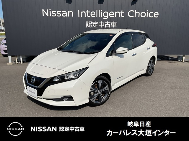 リーフ X 
