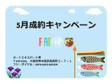 500X  クロス