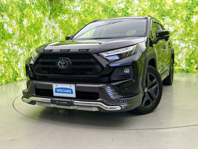 RAV4 2.5 ハイブリッド アドベンチャー E-Four 4WD