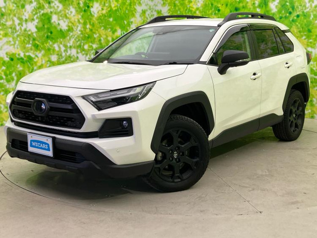 RAV4 2.5 ハイブリッド アドベンチャー オフロードパッケージ II E-Four 4WD