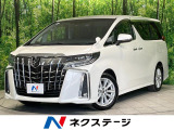 両側電動ドア 後席モニター バックカメラ 100V電源 衝突軽減