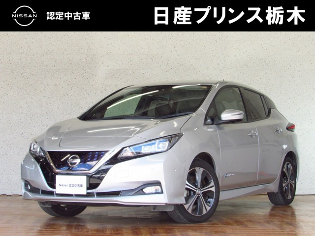 リーフ G 
