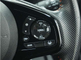 ◆アダプティブクルーズコントロール◆予め設定した車速内でクルマが自動的に加減速。前走車との適切な車間距離を維持しながら追従走行します。【LKAS】車線維持支援システムでステアリング操作を支援。