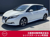 日産の電気自動車リーフが入ってきました。