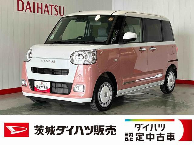 ムーヴキャンバス  ストライプス G