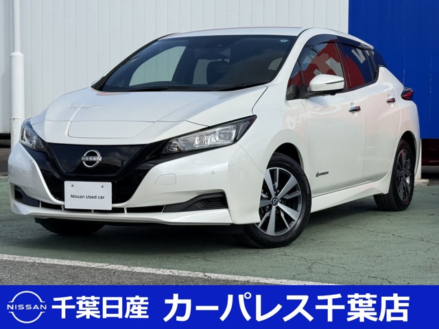 リーフ X 