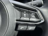 ミリ波レーダーで先行車との速度差や車間距離を認識。設定した車速内での車間距離を自動で調整・維持して、アクセル・ブレーキの操作なしで長距離ドライブの負担も軽減してくれます。
