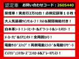 エルグランド 3.5 VIP 白本革 サンルーフ 低走行 禁煙車